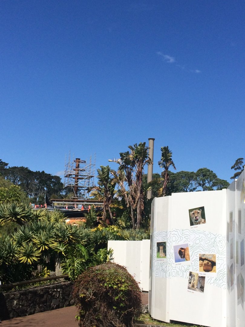 High Canopy Exhibit Under Construction