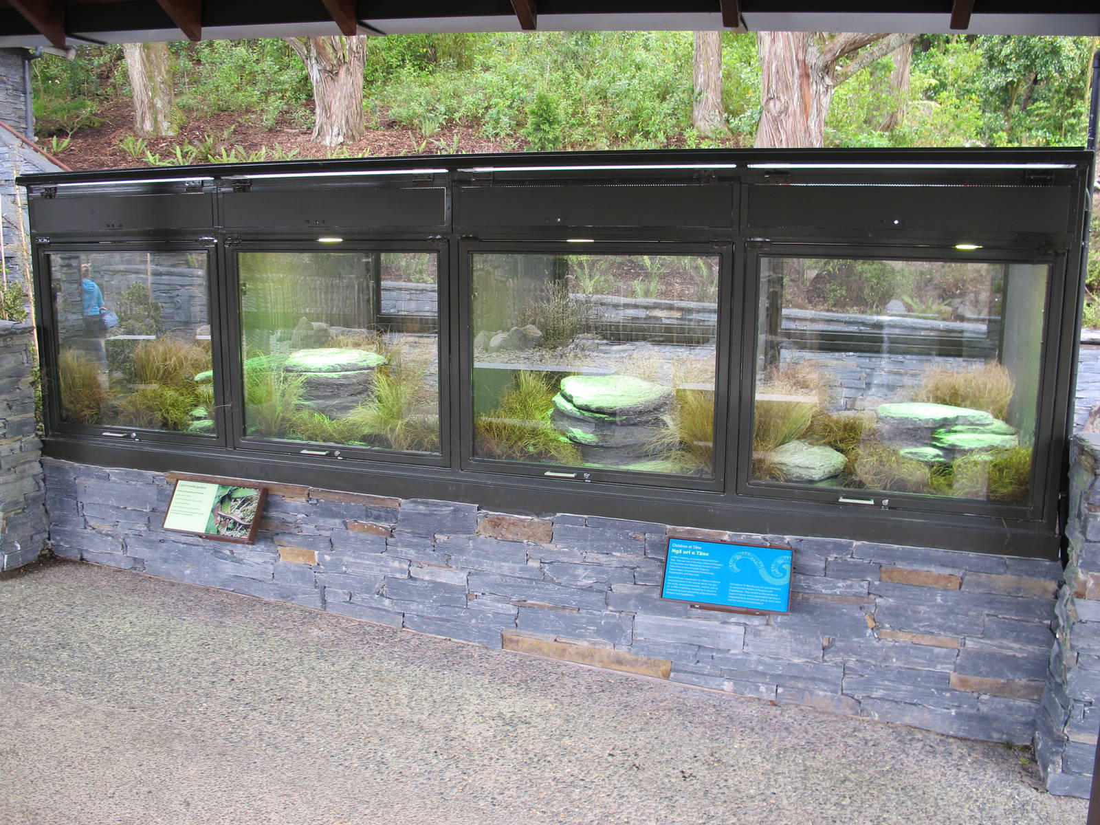 High Country Reptile Exhibits - Te Wao Nui, Auckland Zoo 2011