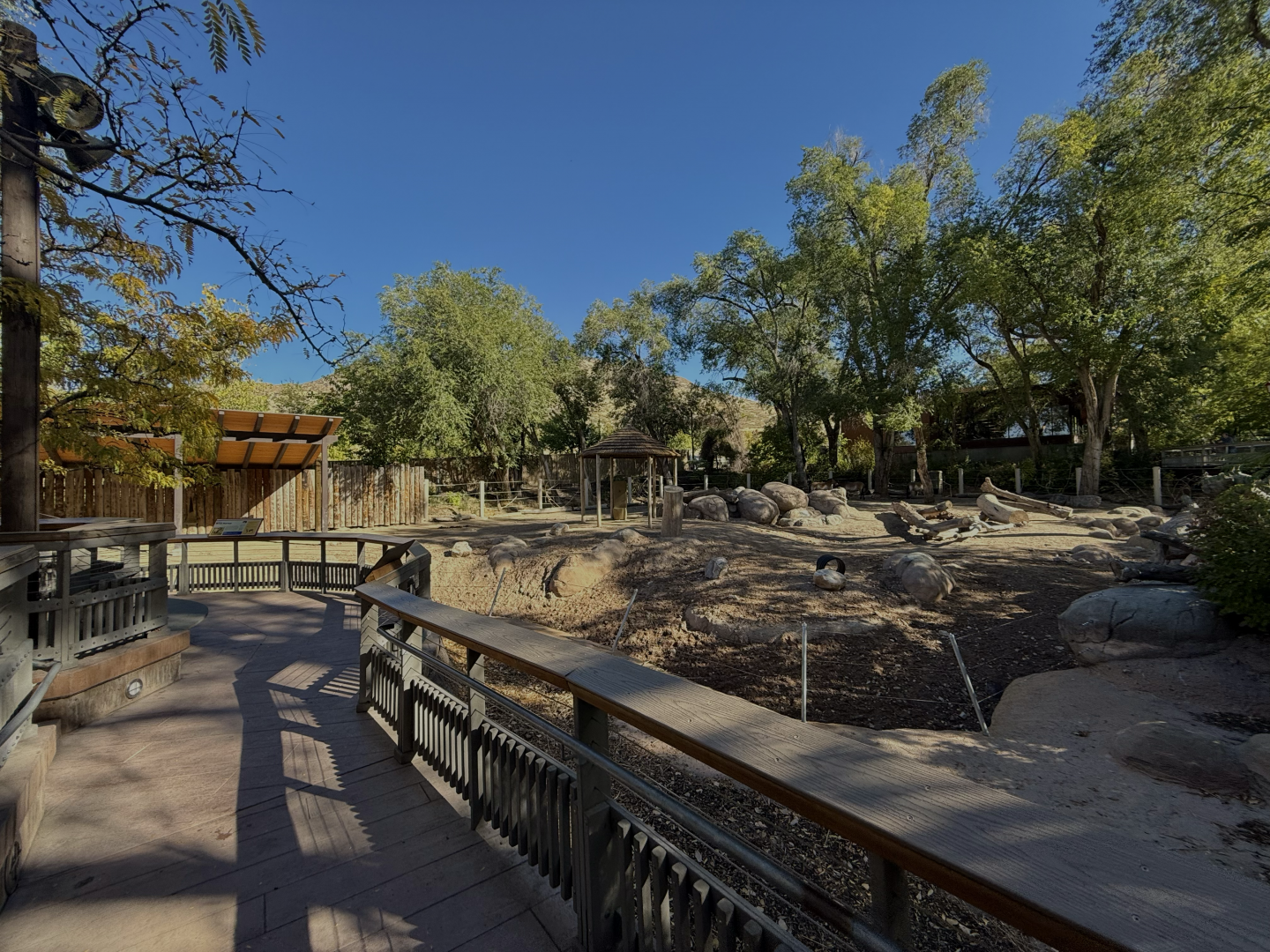 High Desert Oasis - East Yard