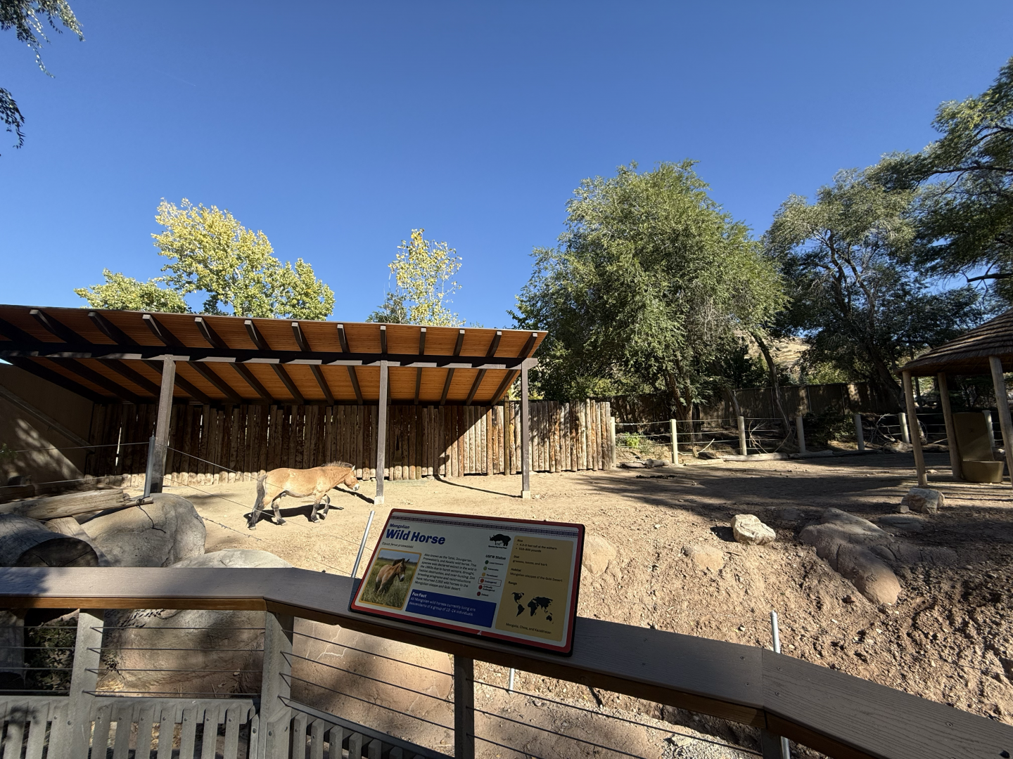 High Desert Oasis - East Yard