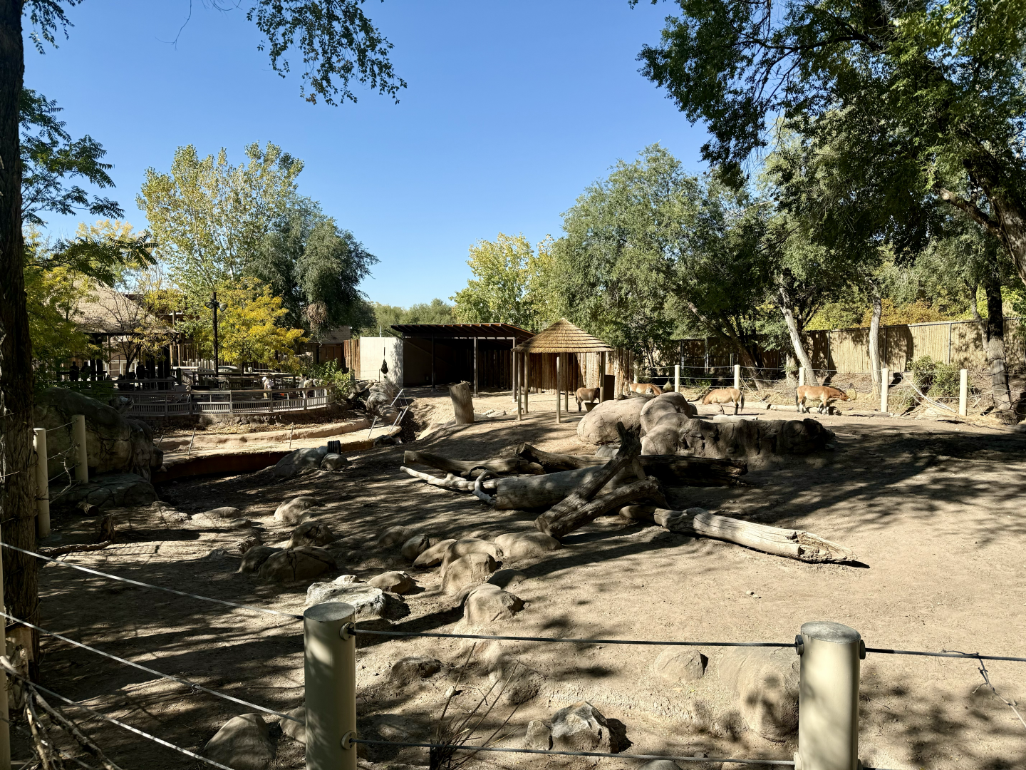 High Desert Oasis - East Yard