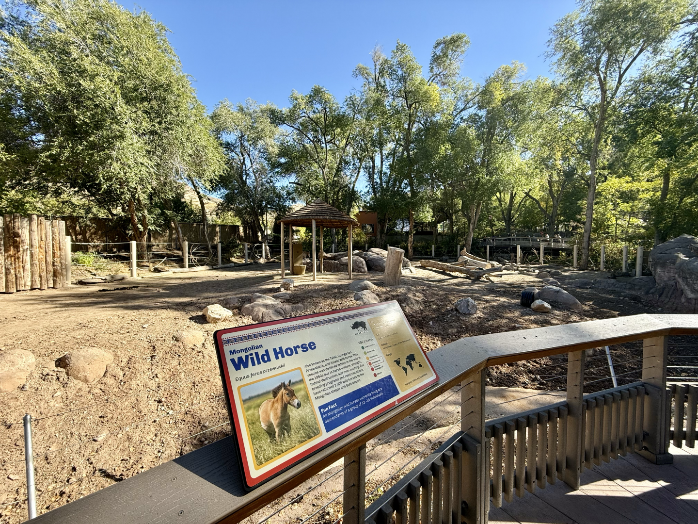 High Desert Oasis - East Yard