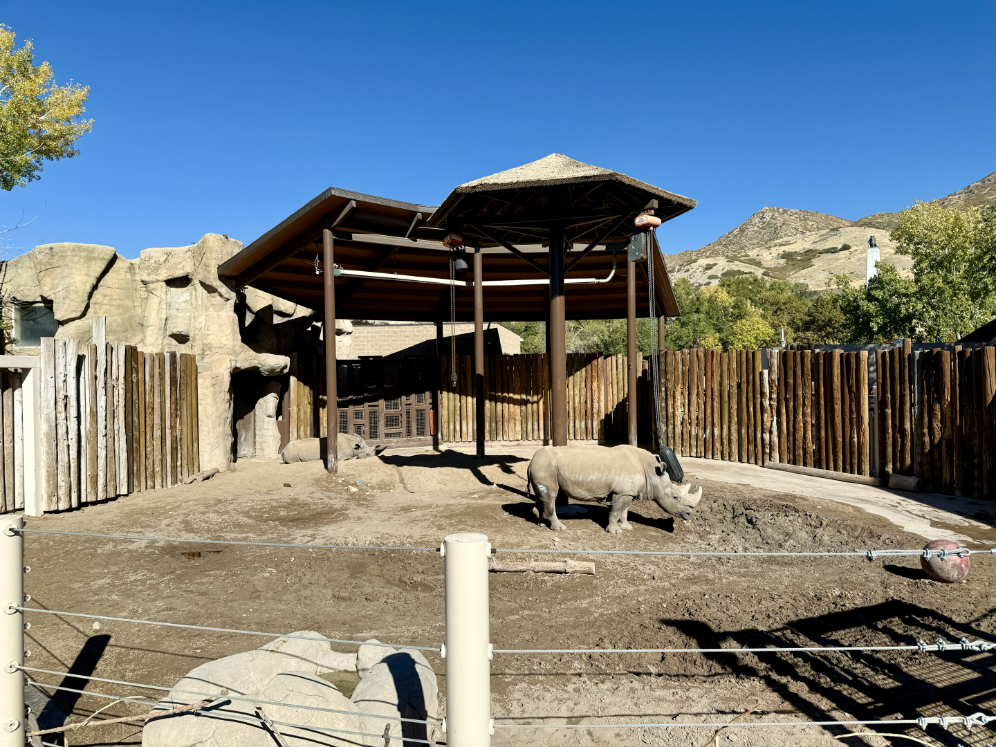 High Desert Oasis - The Lodge Yard