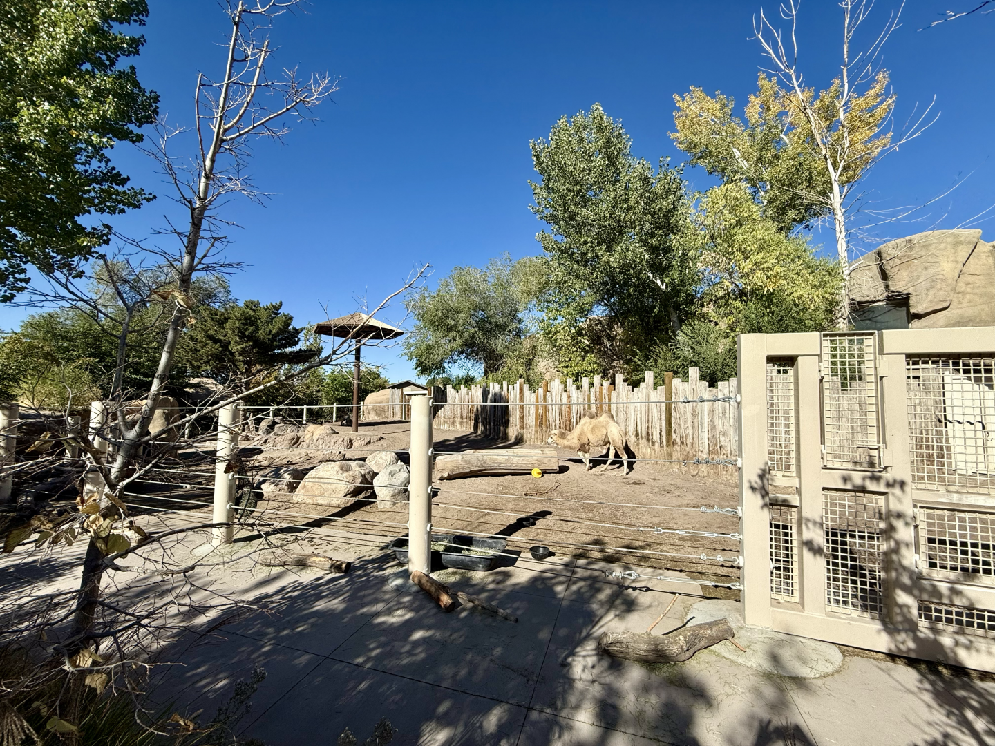 High Desert Oasis - West Yard