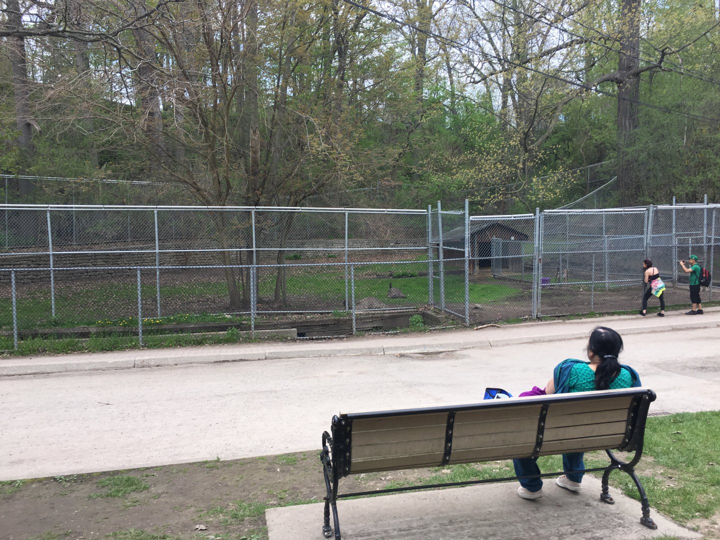 High Park Zoo - Emu Pen