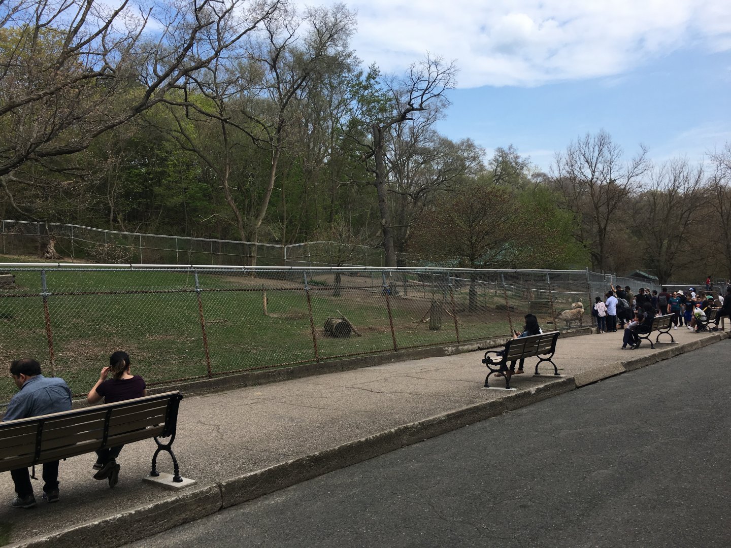 High Park Zoo - Reindeer Pen