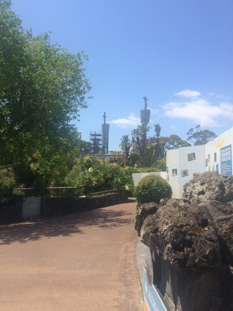 High Poles Seen From Outside Alligator Exhibit (13/12/2019)