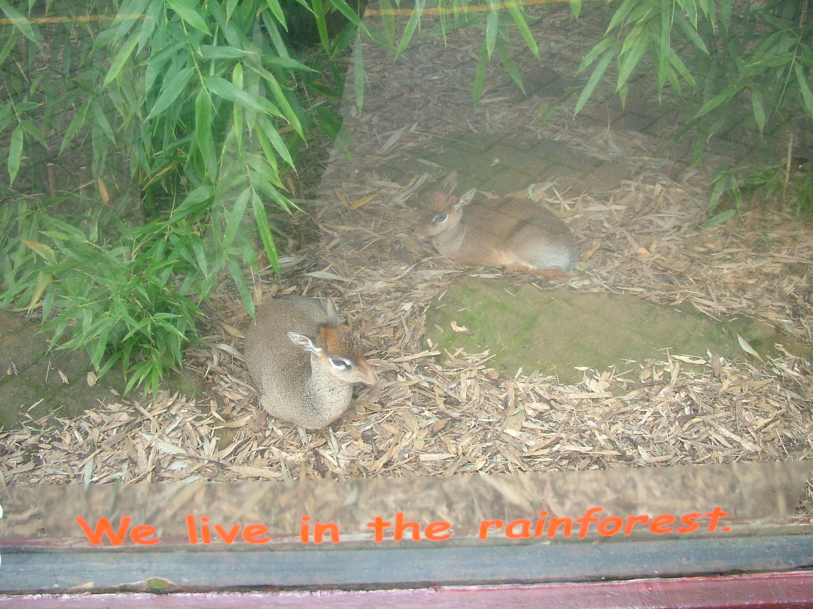 High-Quality Education at Colchester, 28/08/10