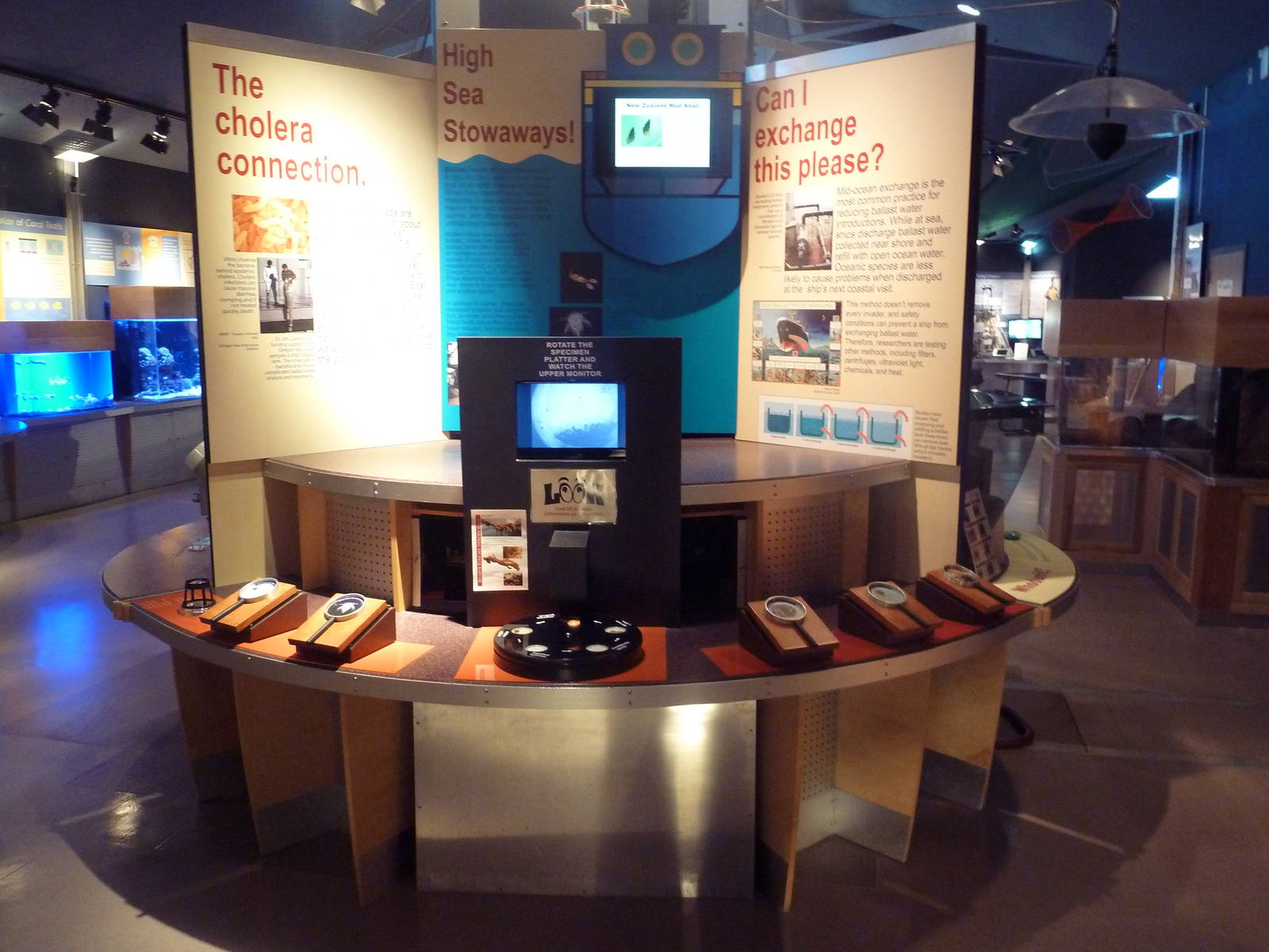 High Seas Stowaways Display