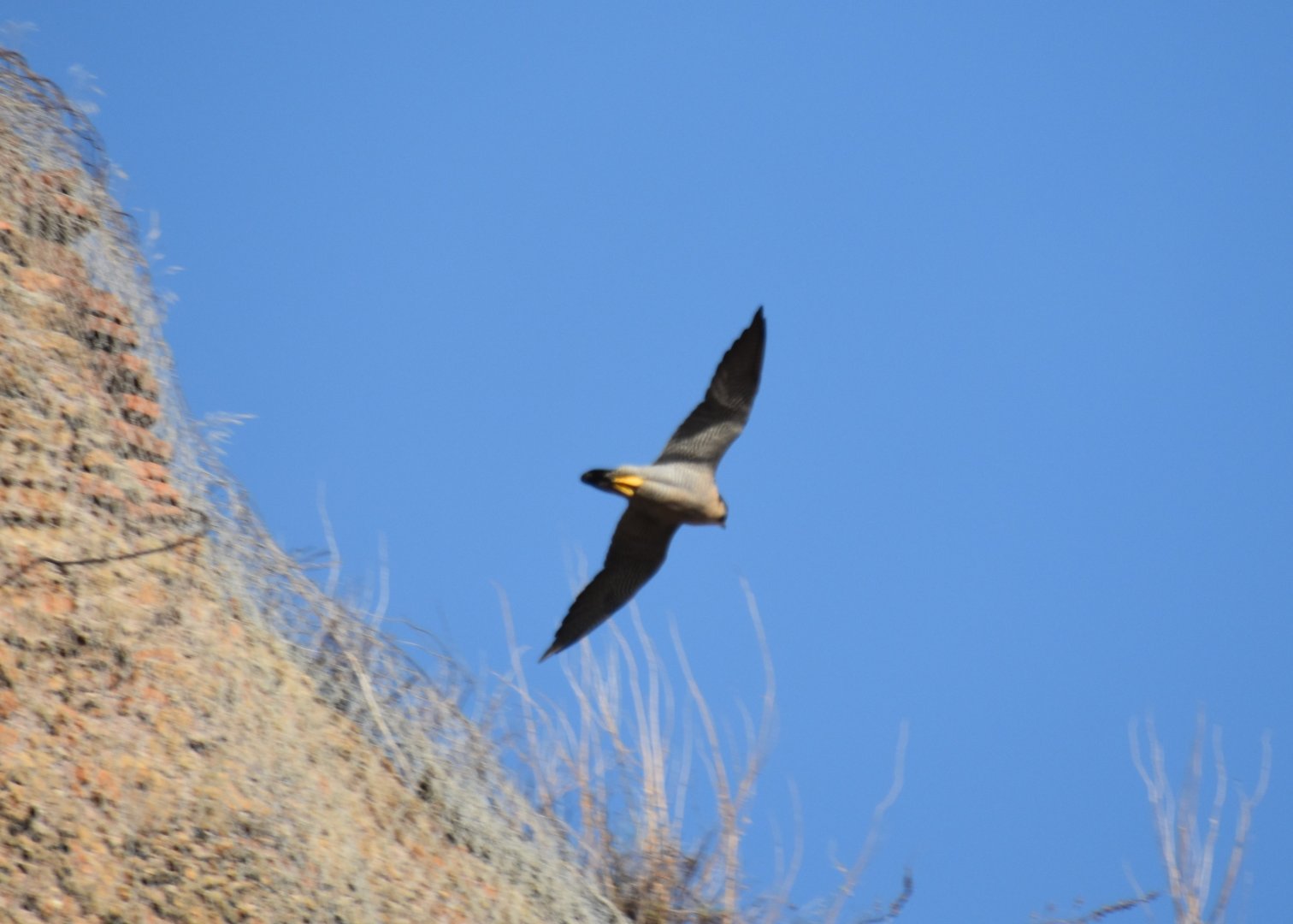 High-speed flight lesson