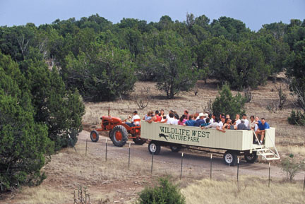 high tech safari vehicle