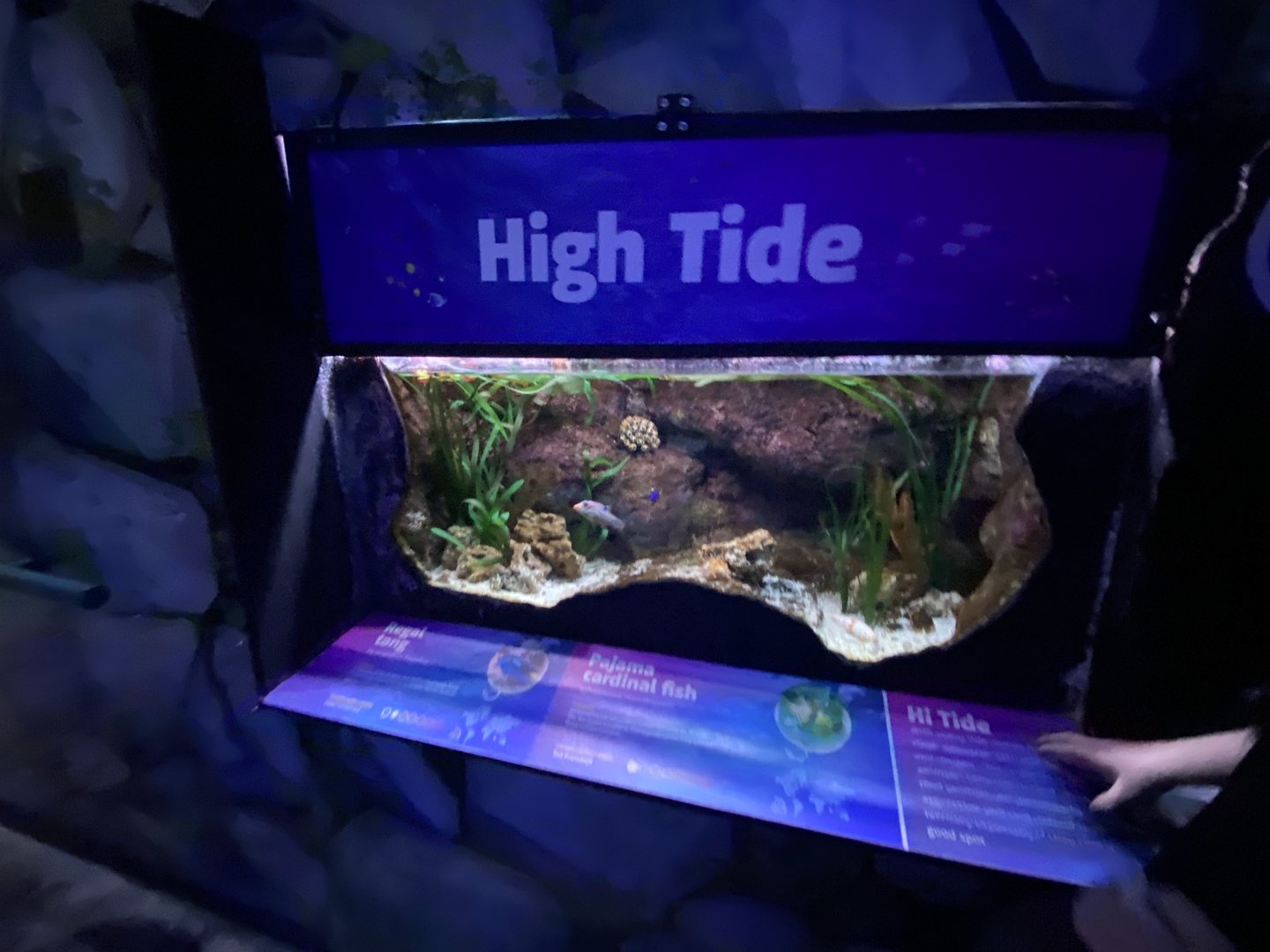 High Tide exhibit 070123