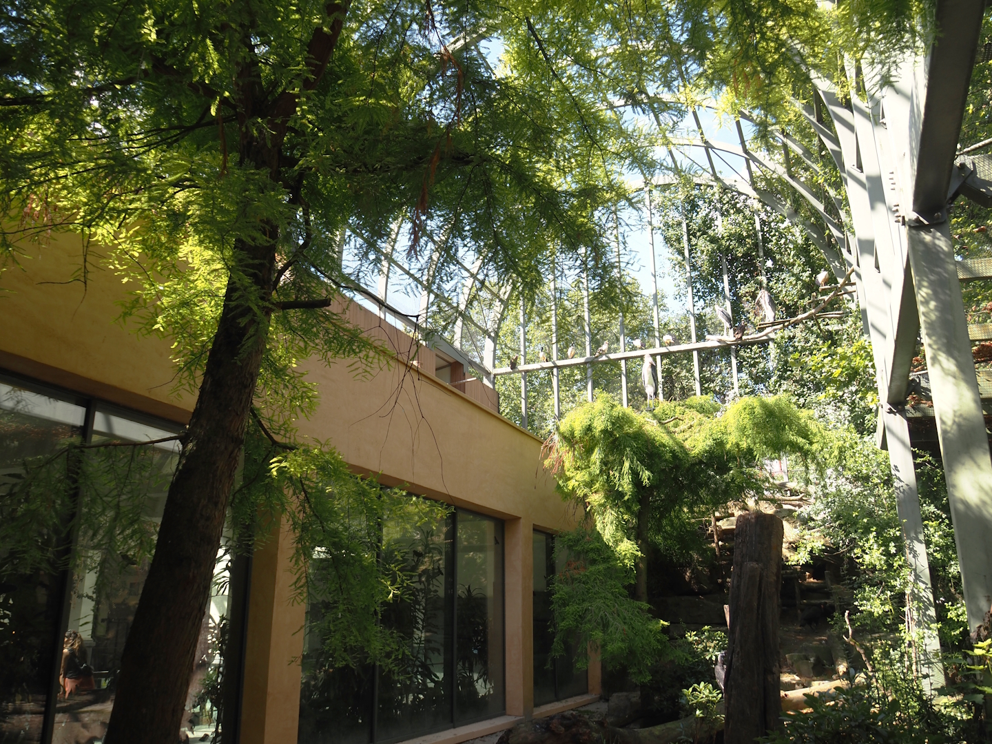 Higher part of the hippo house aviary with renovated facade and nesting area, 2024-07-28