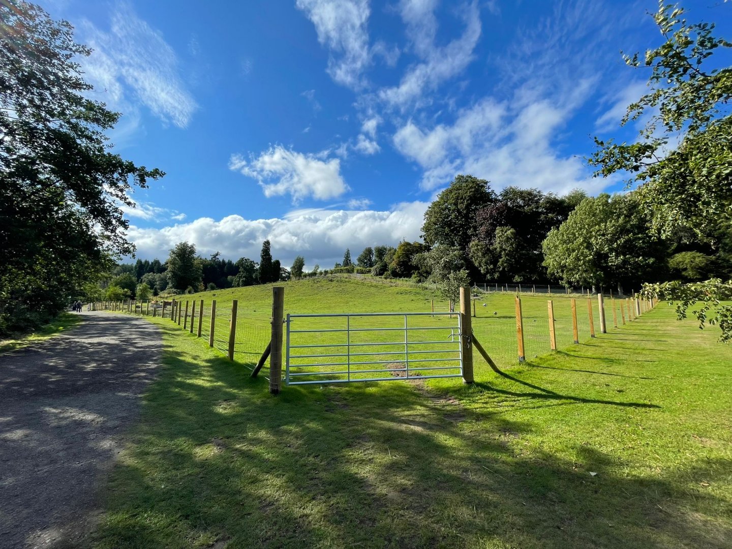 Highland cow enclosure