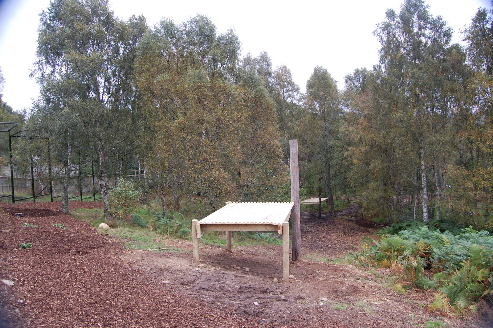 Highland Wildlife Park Sept 2008 Tiger Exhibit