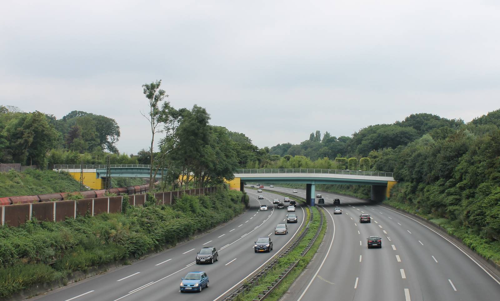 Highway through the zoo