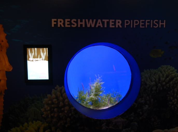 Hilariously Incorrect Signage