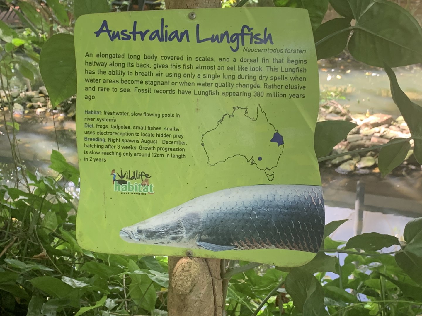 Hilariously Incorrect Signage