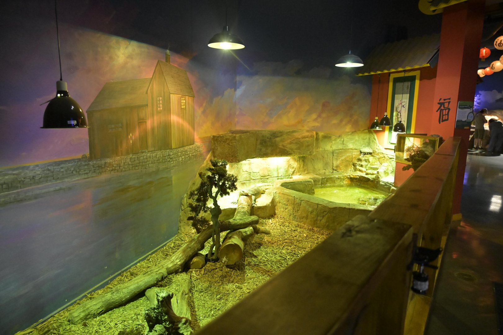 Hill City AquaZoo - Common Water Monitor Exhibit