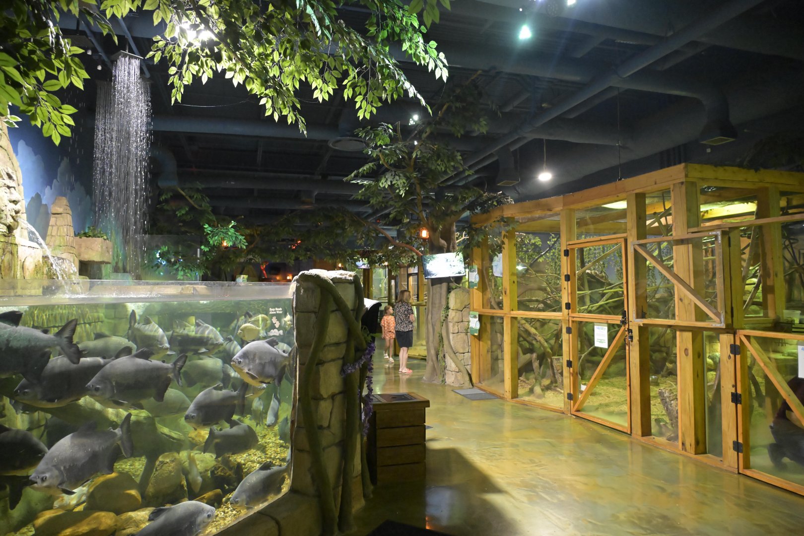 Hill City AquaZoo - Overview of first section