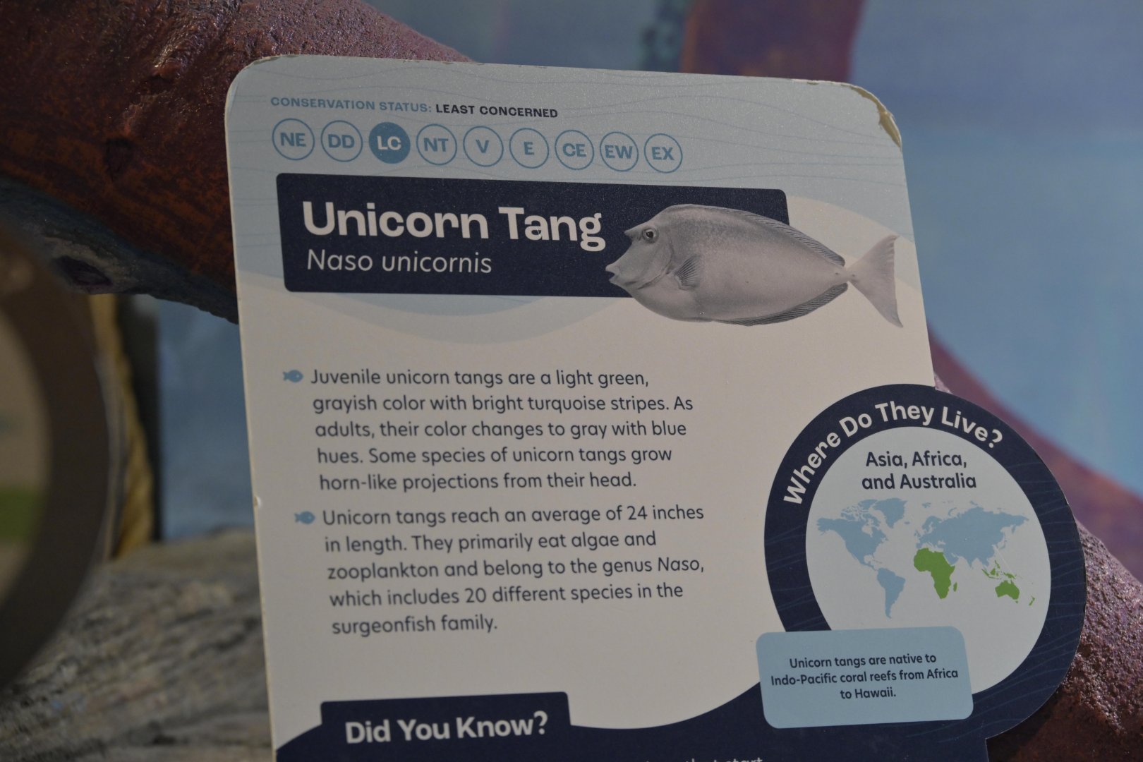 Hill City AquaZoo - Signage Example (when they bothered to include the full species name)