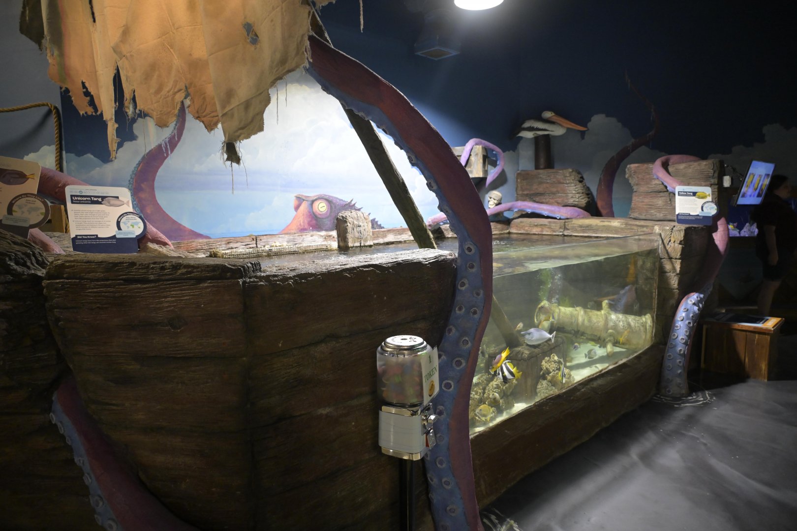 Hill City AquaZoo - Tropical Reef Fish Tank