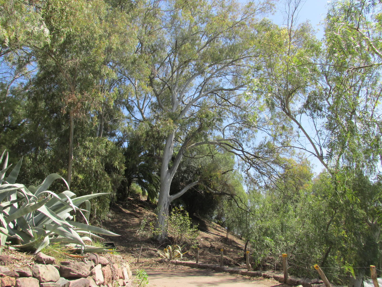hillside mendoza zoo