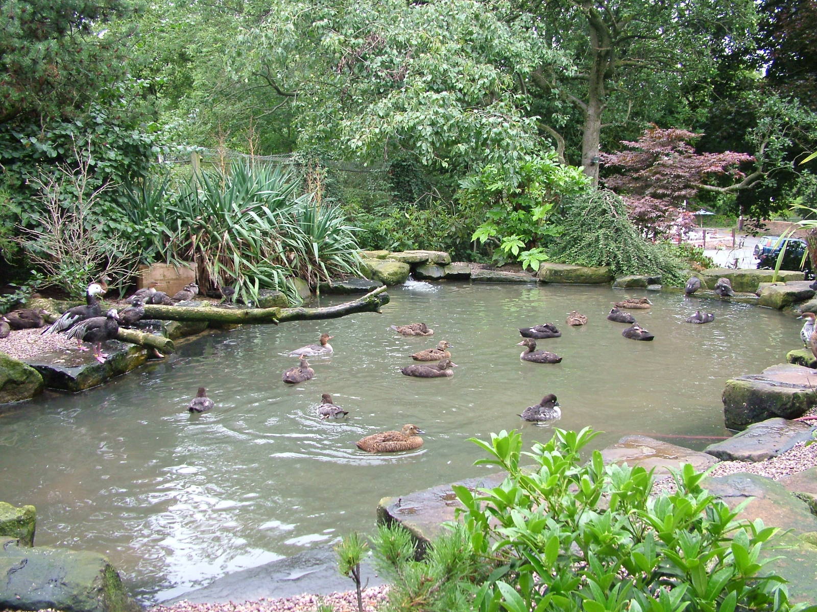 Hillside Open Day 08/08/10