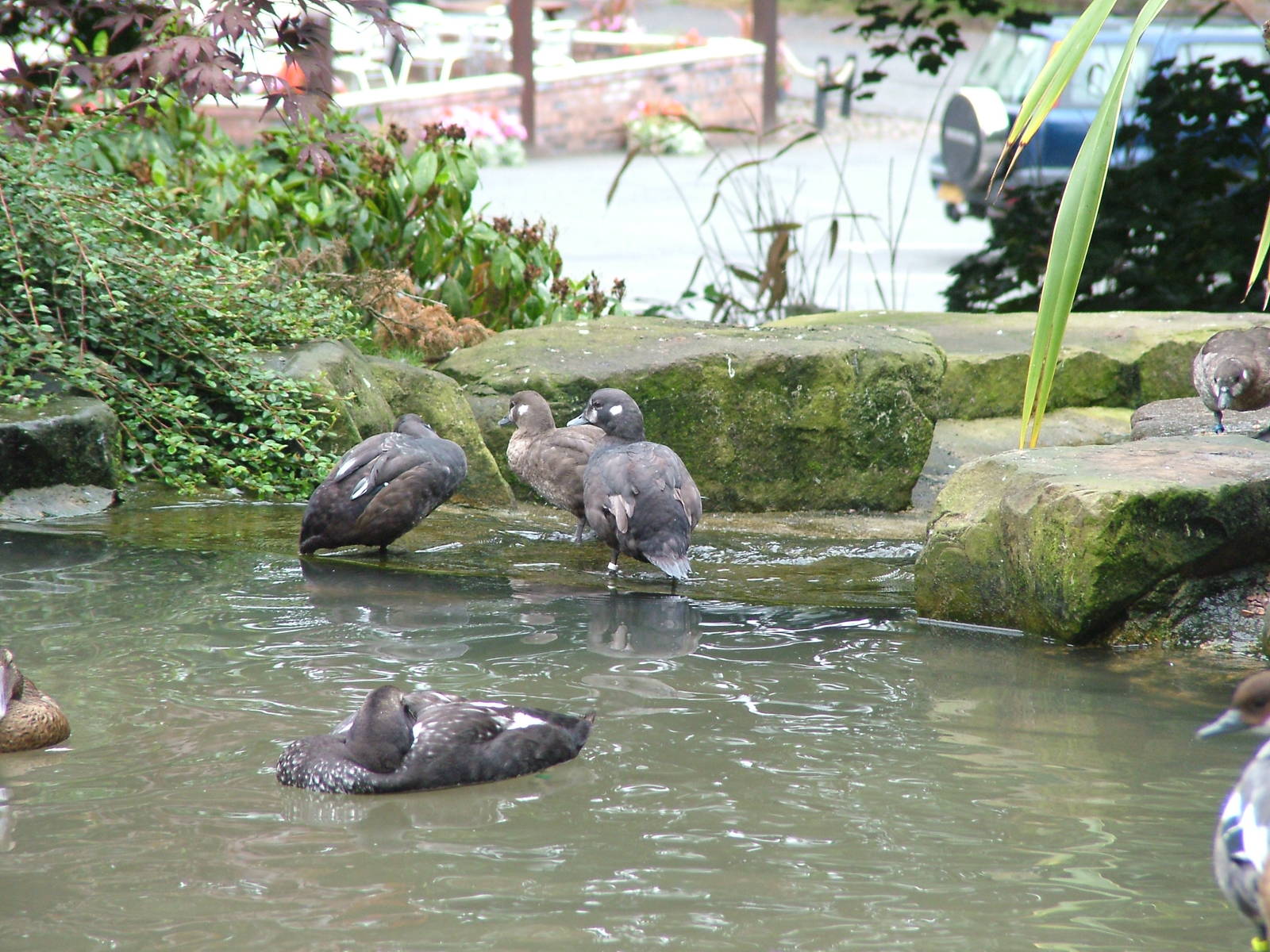 Hillside Open Day 08/08/10