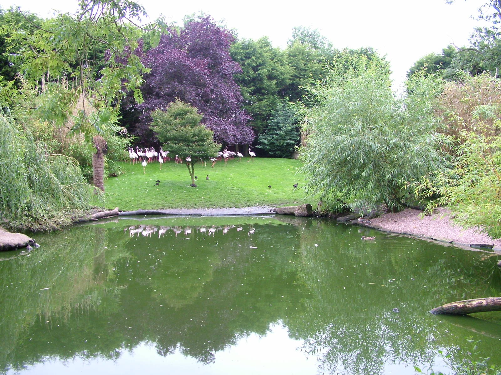 Hillside Open Day 08/08/10