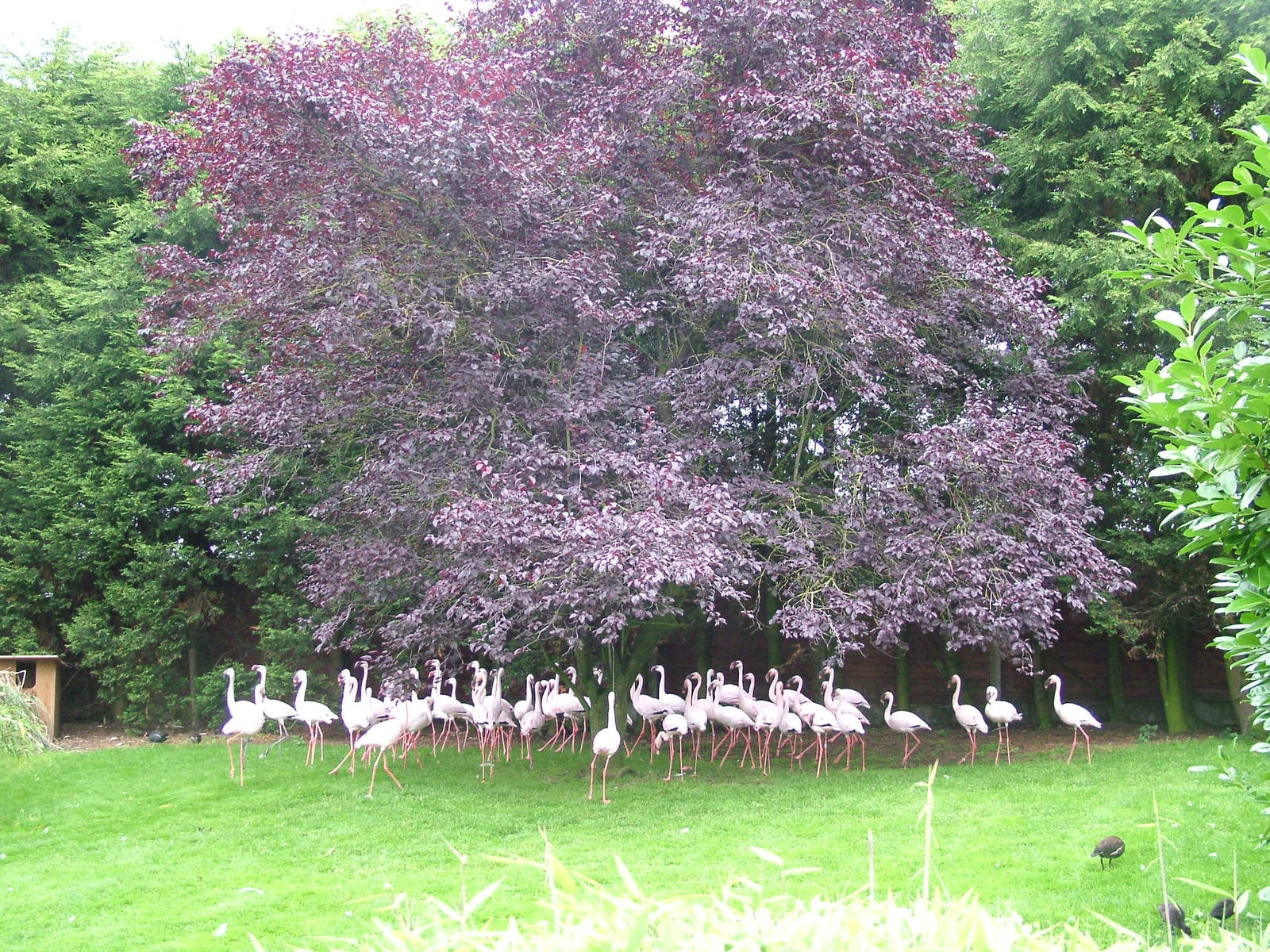 Hillside Open Day 08/08/10