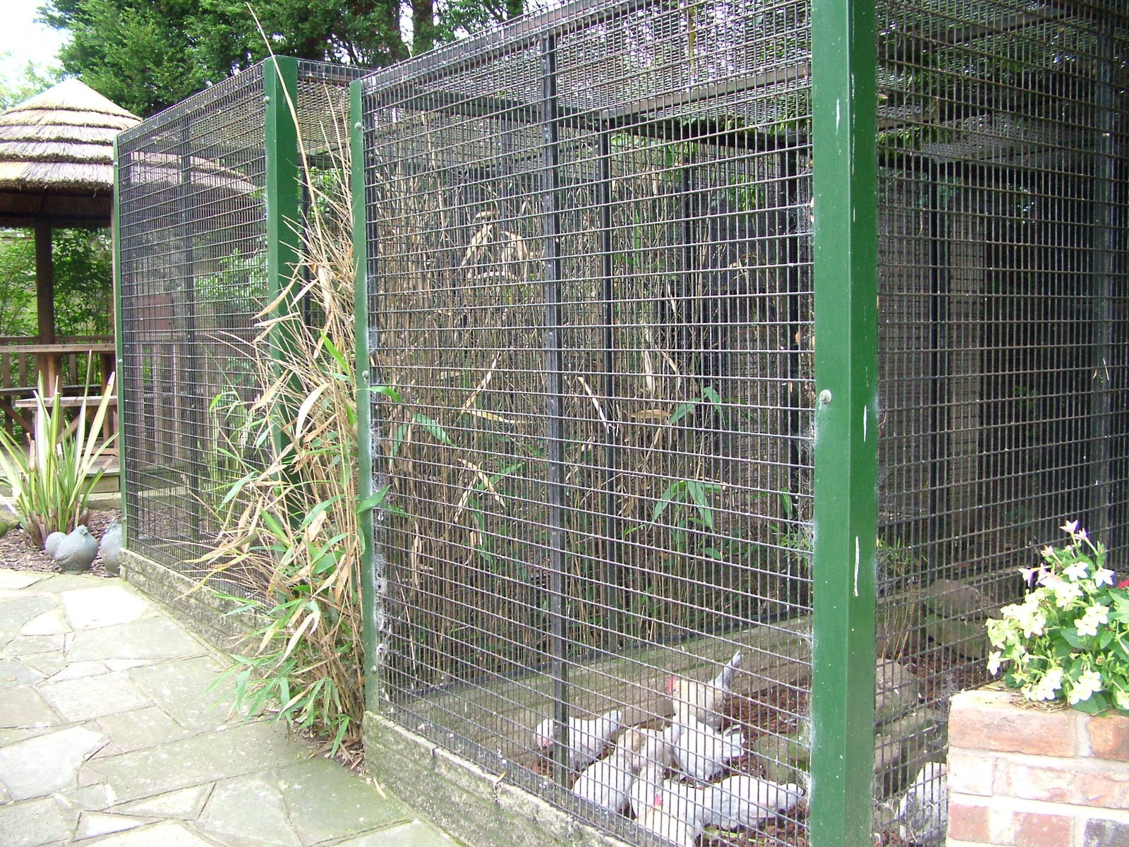 Hillside Open Day 08/08/10