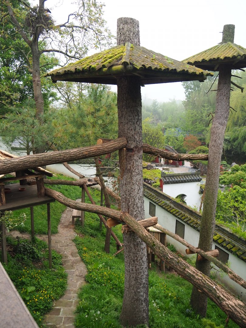 Hillside red panda exhibit, 2023-05-15