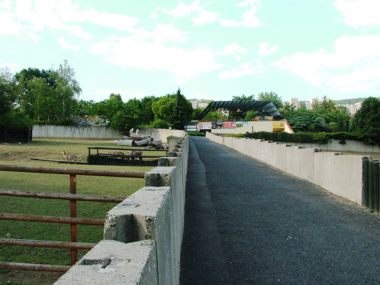 Hilltop Paddocks at Usti, 29/08/12