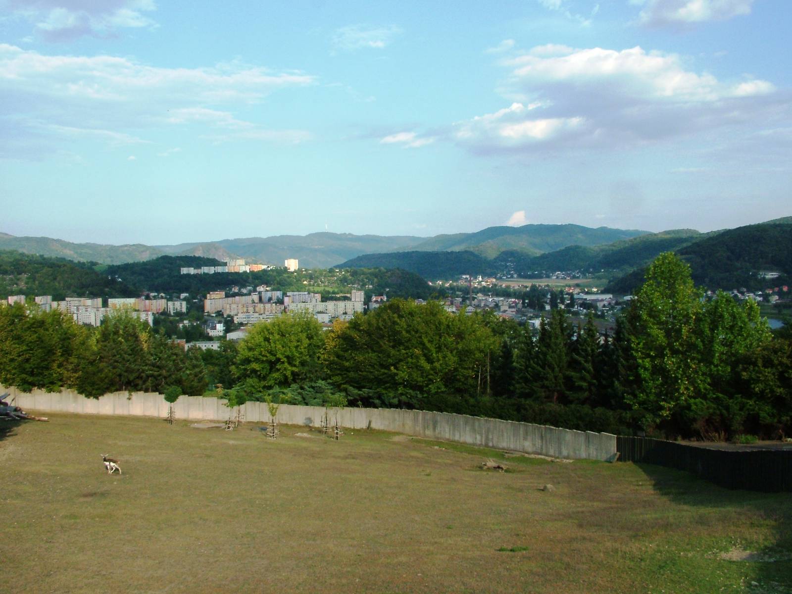Hilltop Paddocks at Usti, 29/08/12