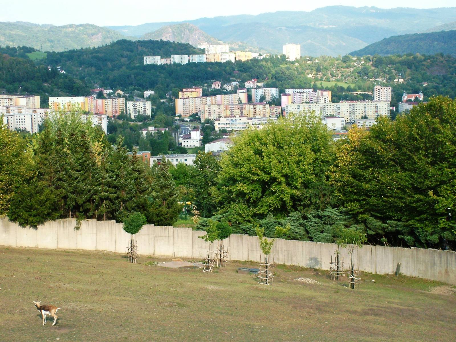 Hilltop Paddocks at Usti, 29/08/12