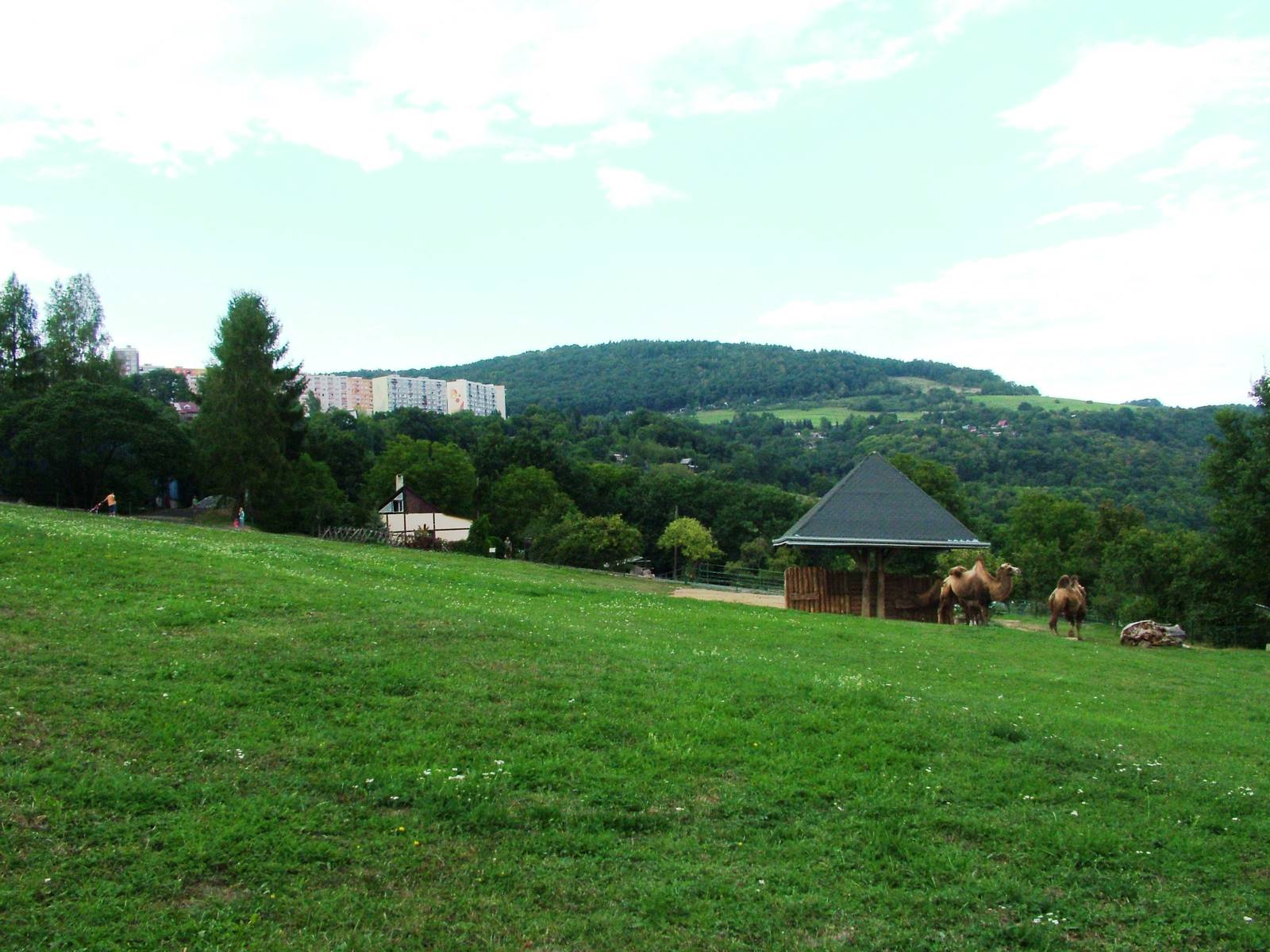 Hilltop Paddocks at Usti, 29/08/12
