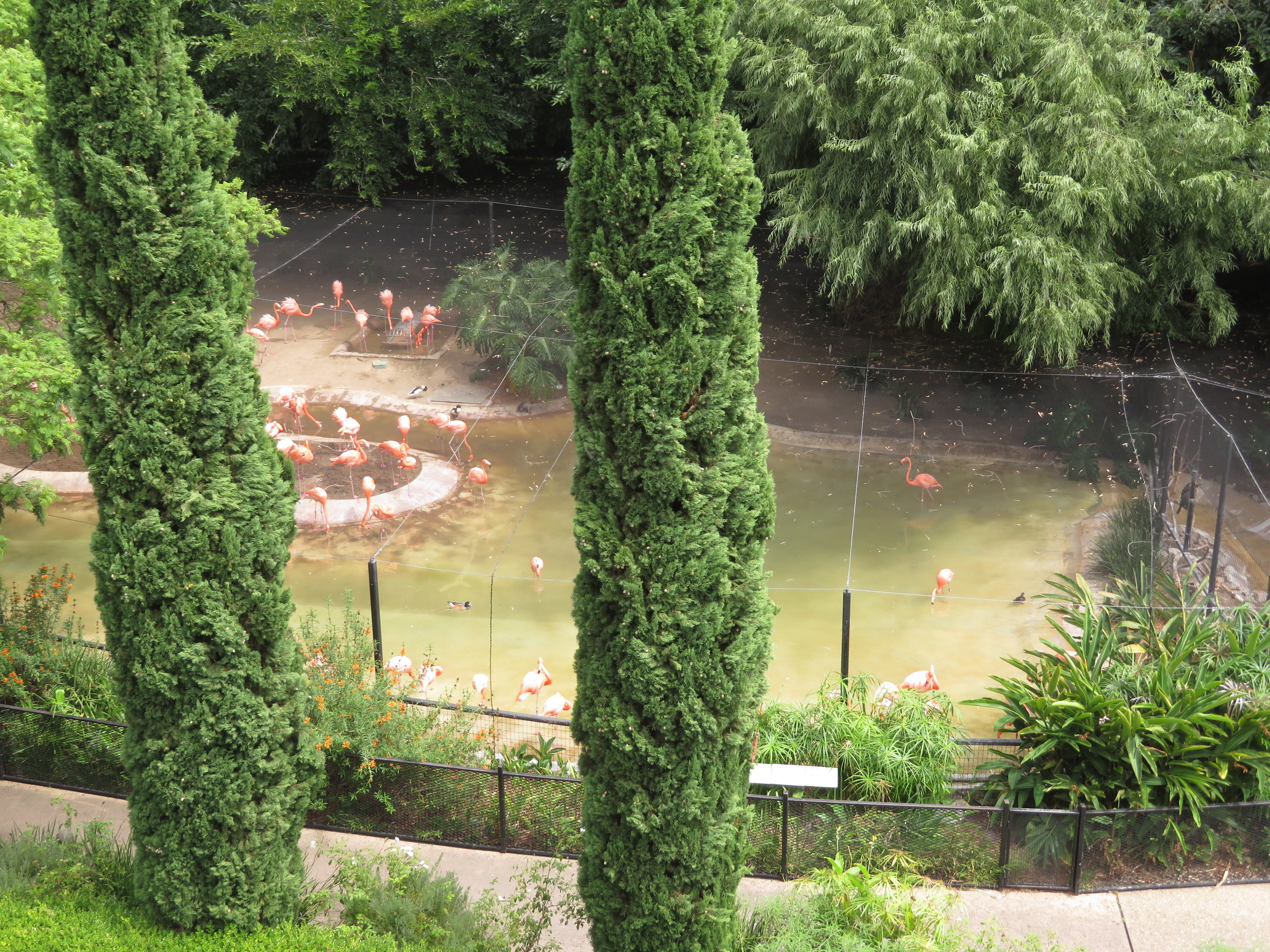 Hilltop View of Marsh Habitat
