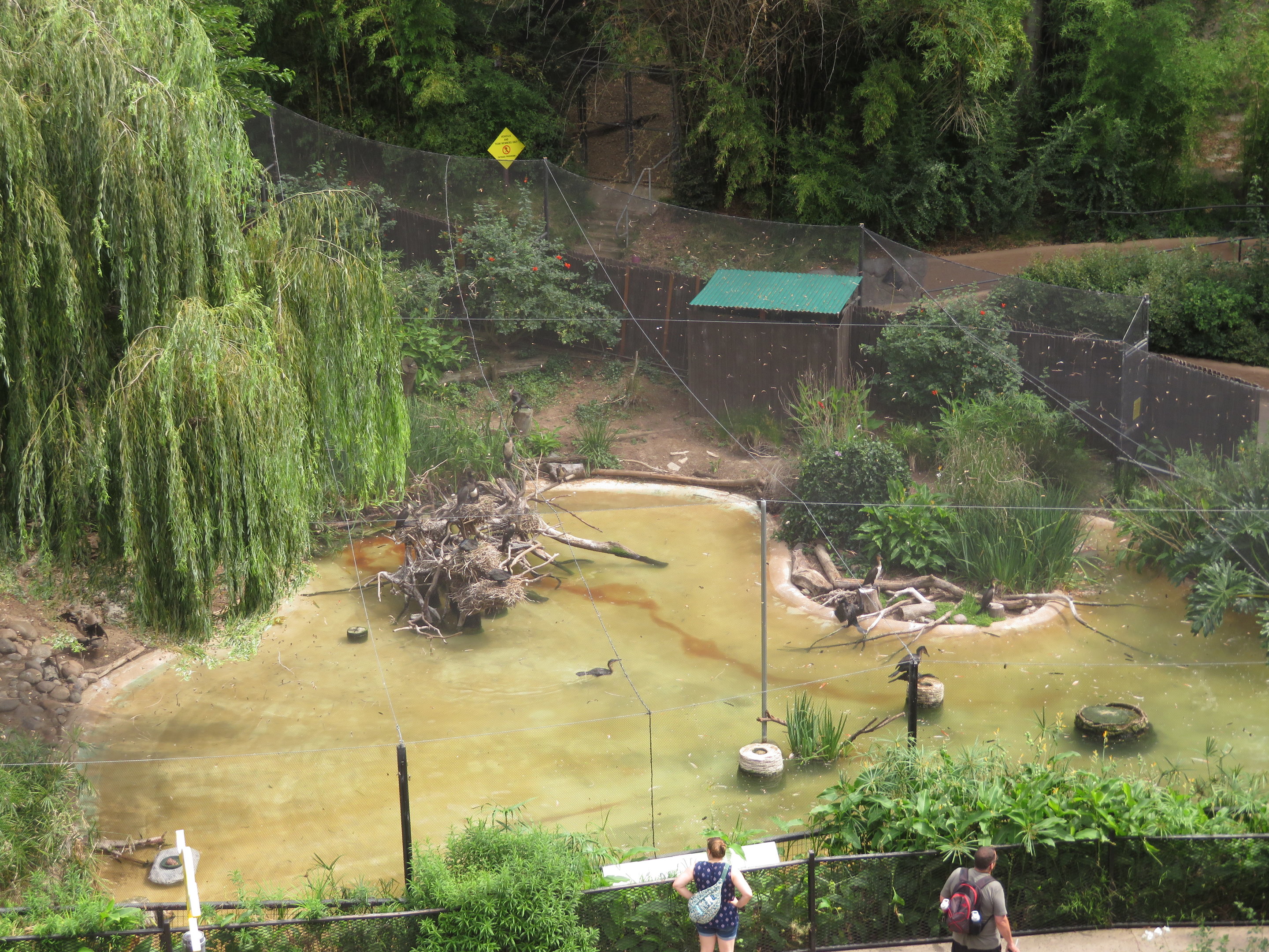 Hilltop View of Marsh Habitat