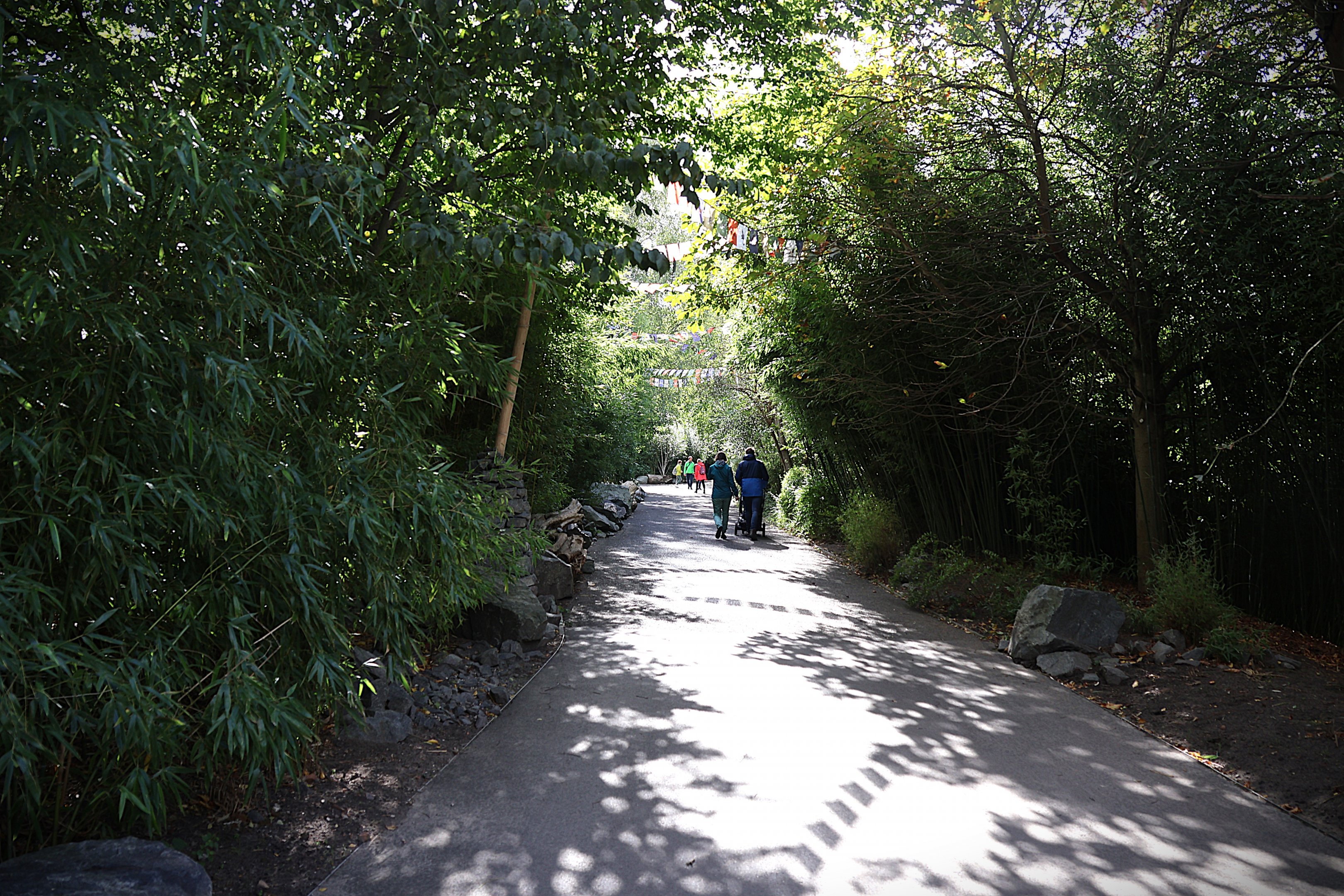 Himalaya - General view