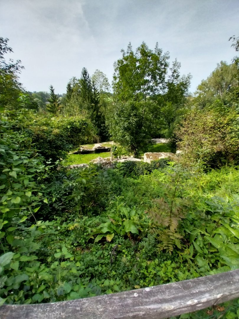 Himalaya Habitat - View from watching tower towards tiger taiga