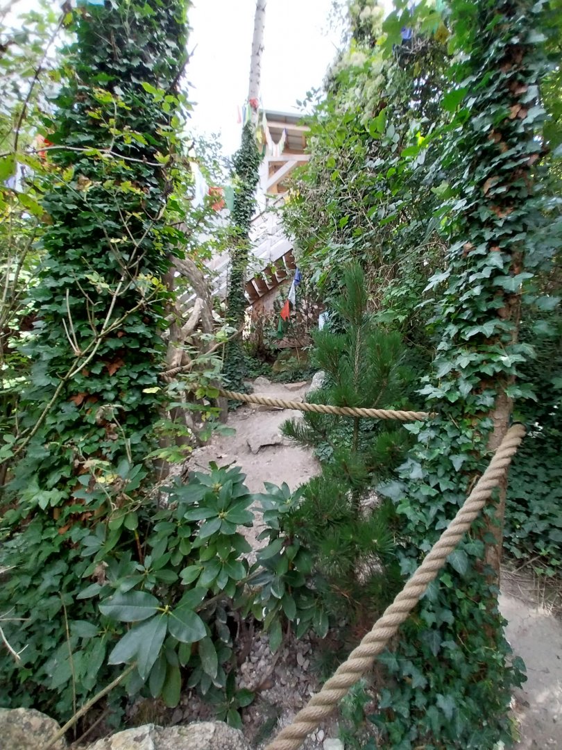 Himalaya Habitat - Watching tower