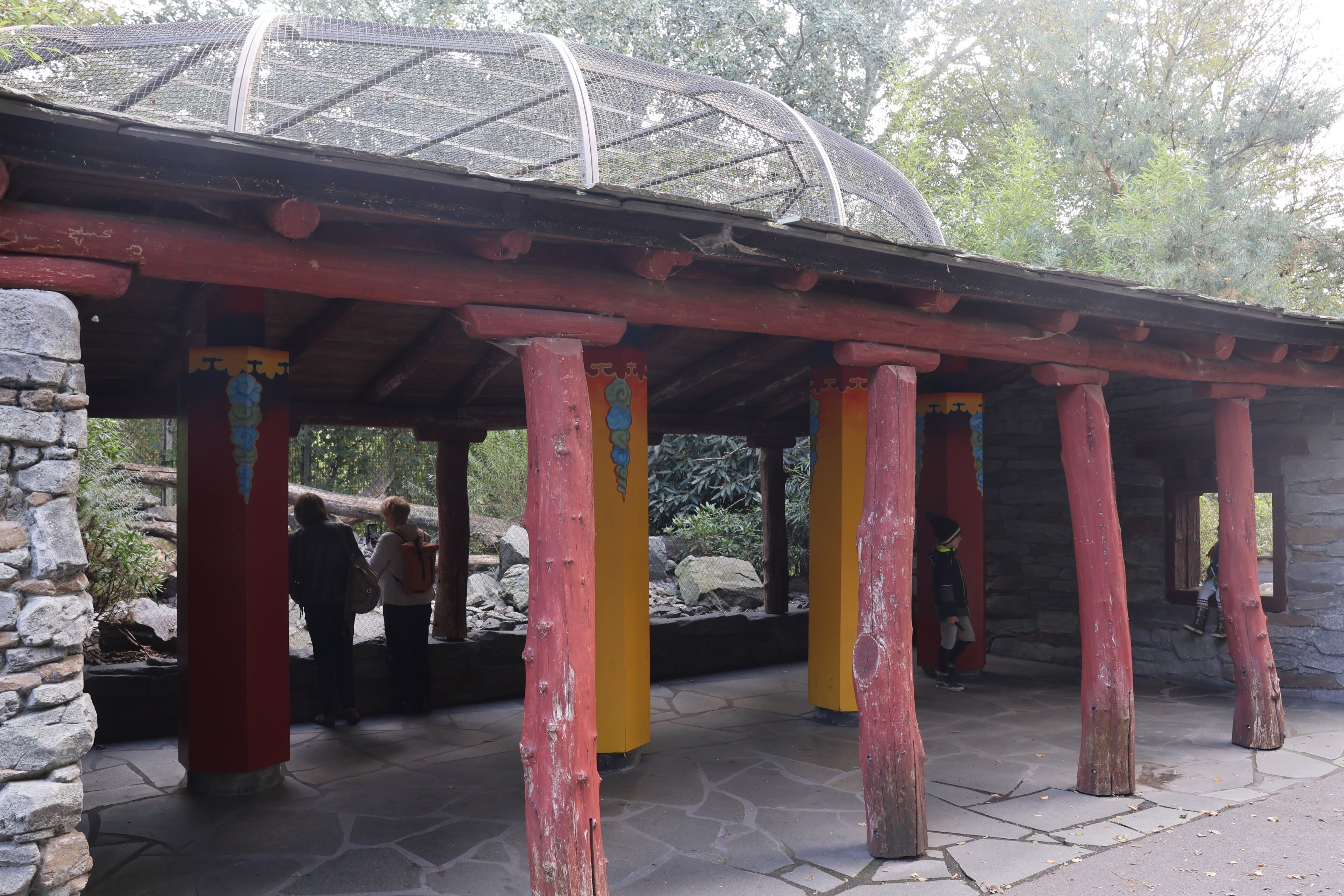 Himalaya - Himalayan Monal (Lophophorus impejanus) aviary