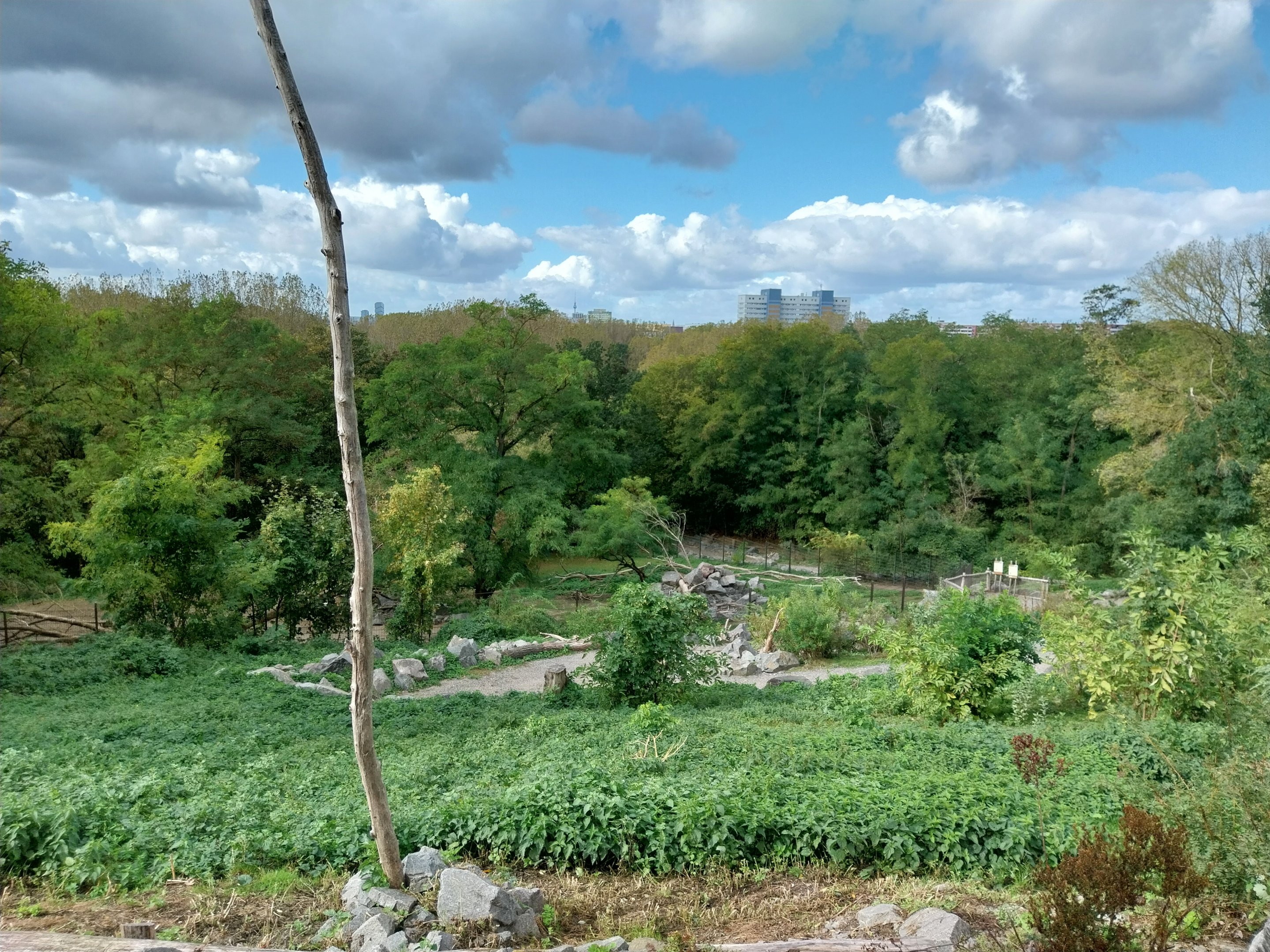 Himalaya - On top of the Trümmerberg