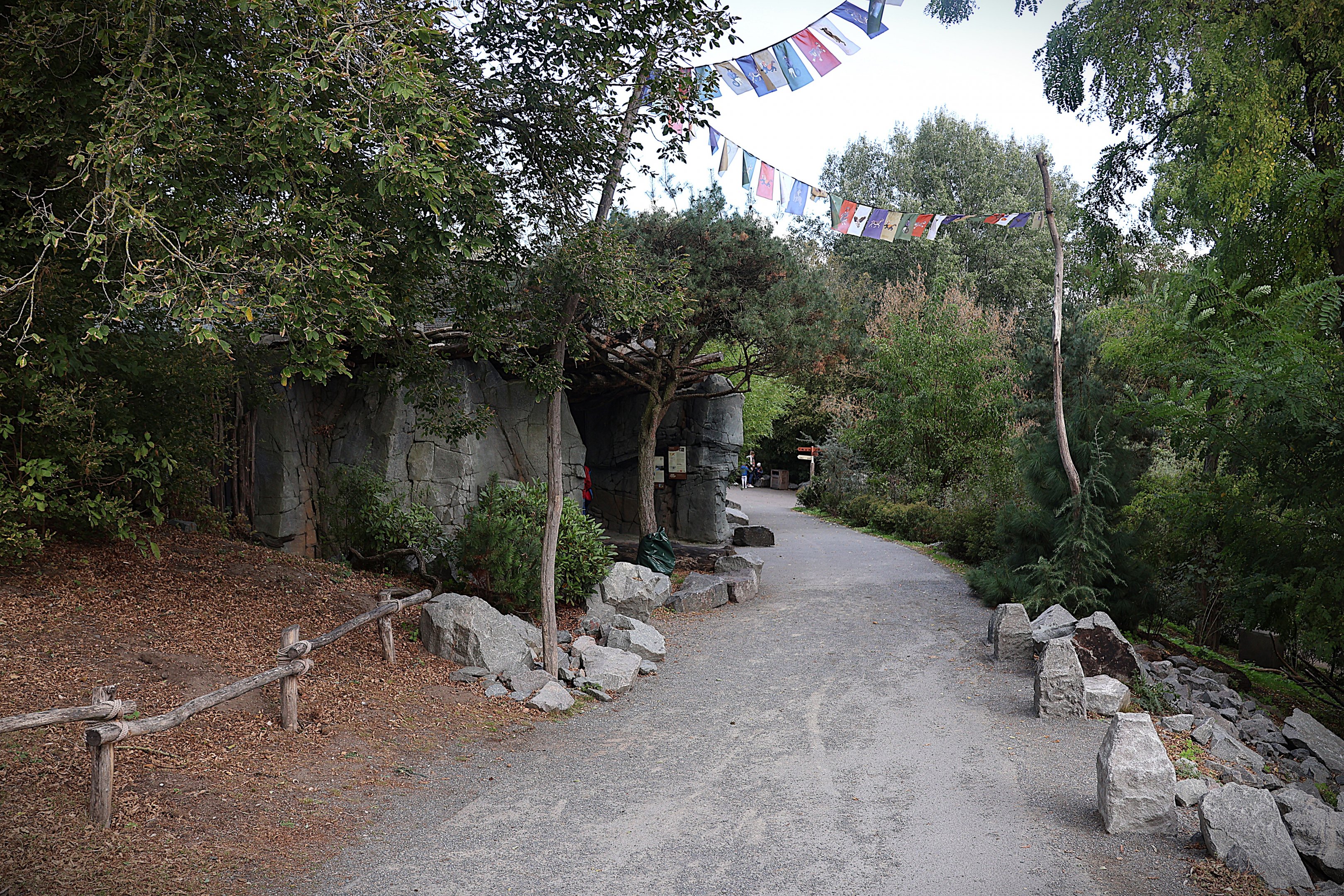 Himalaya - Path towards the top of the Trümmerberg