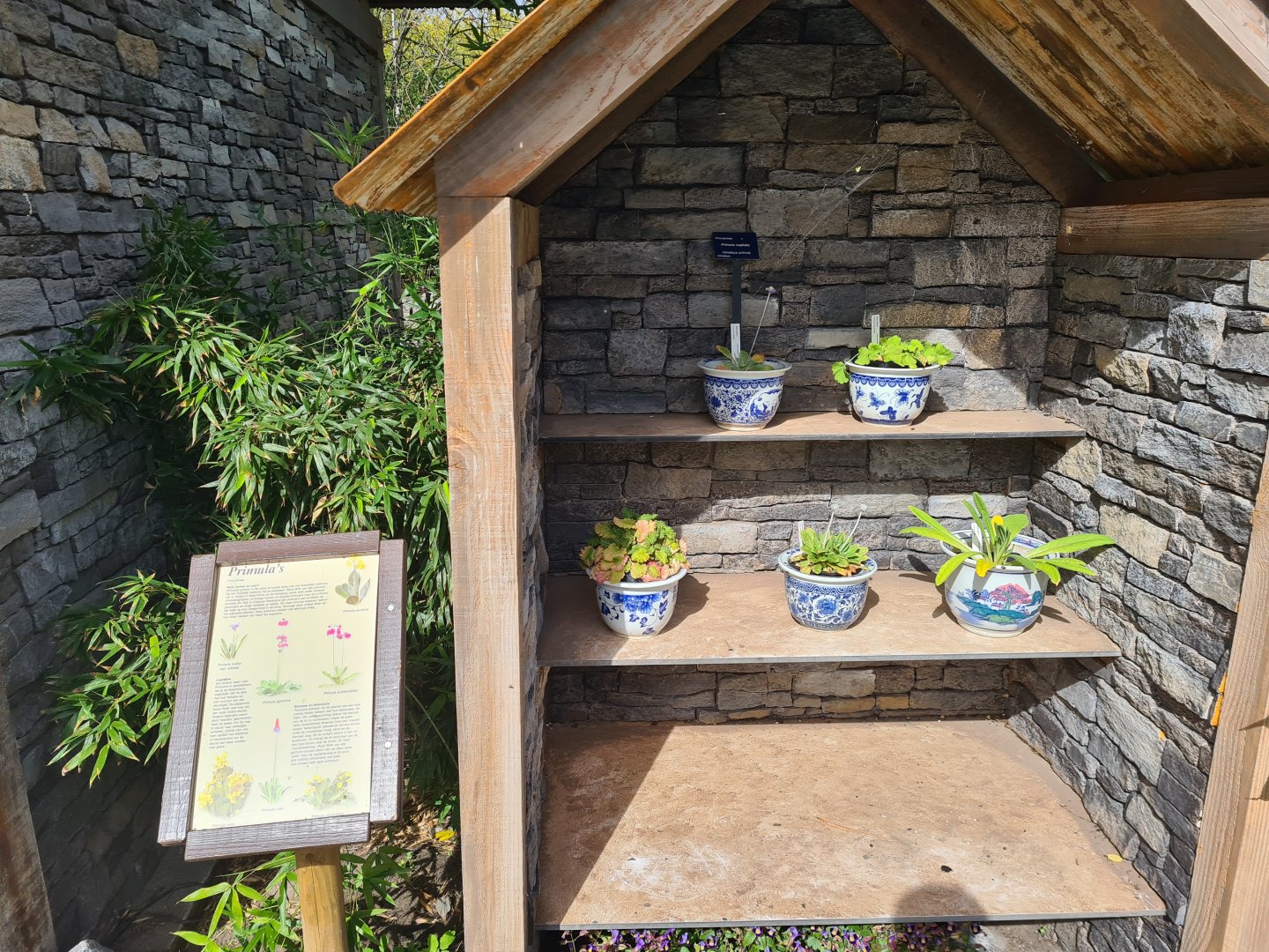 Himalaya - Plant cabinet