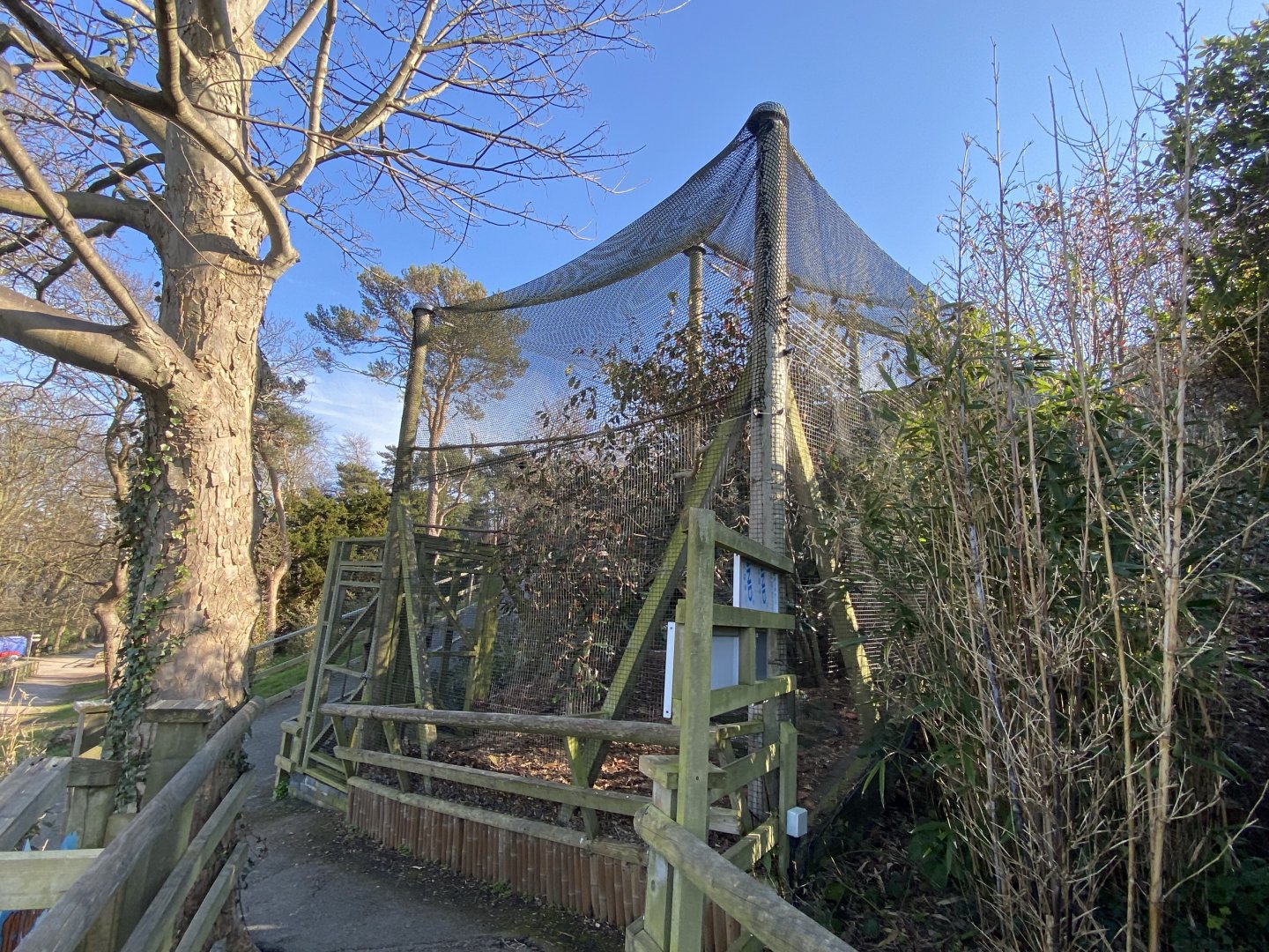 Himalayan aviary 190325