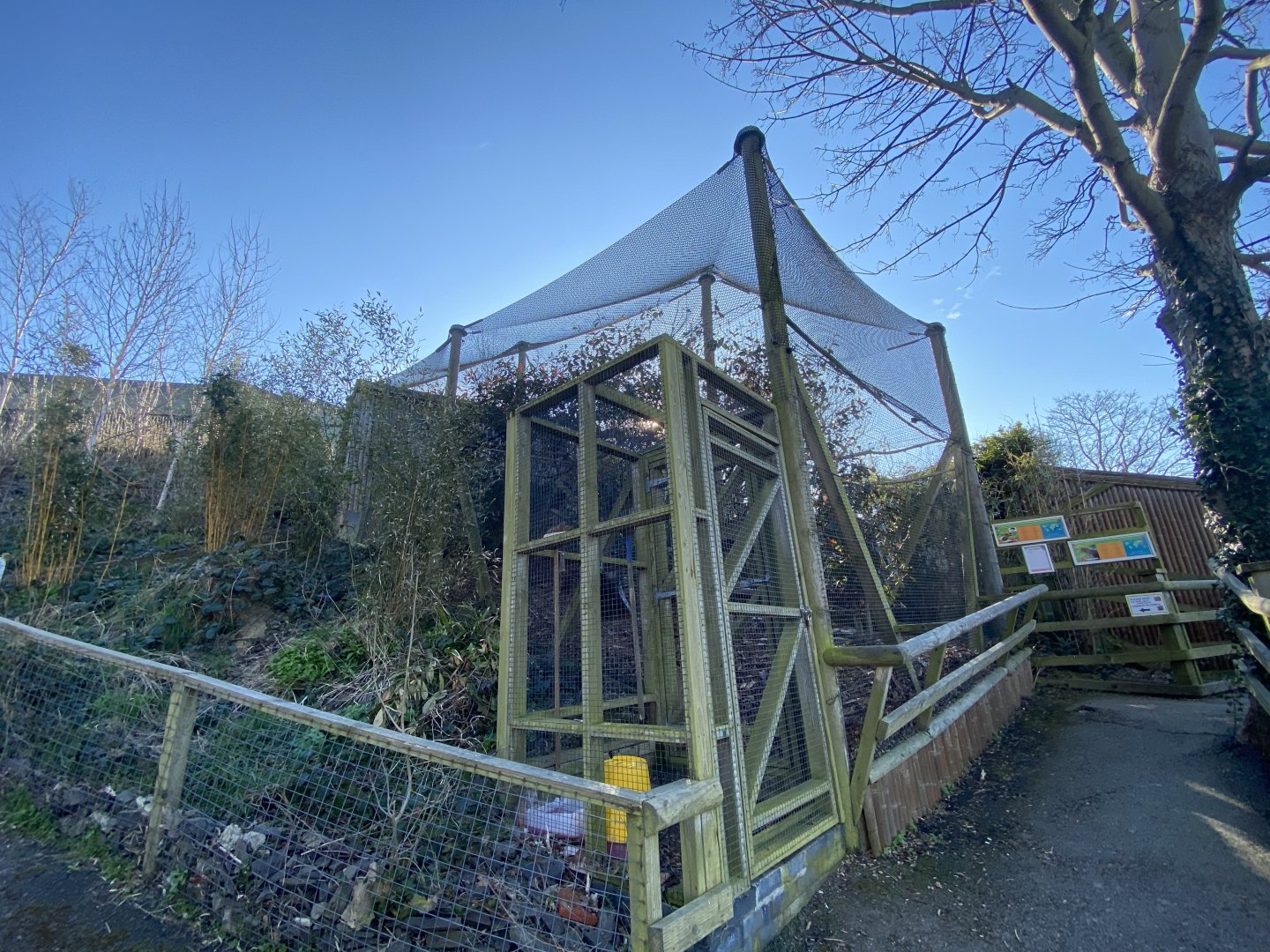 Himalayan aviary 190325