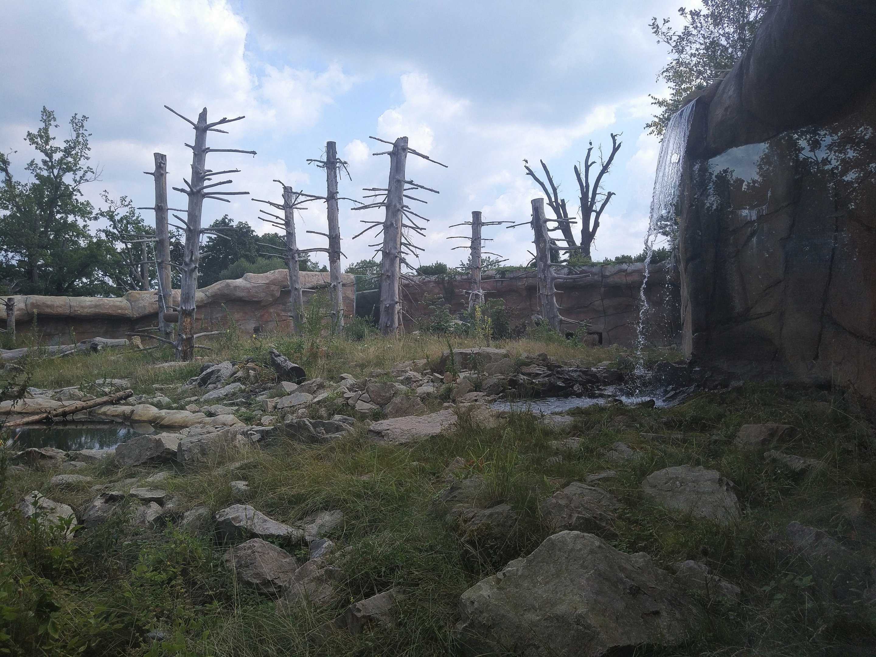 Himalayan Bear Exhibit