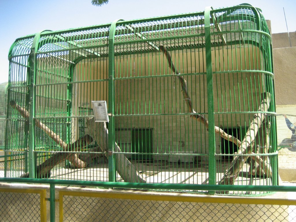Himalayan Black Bear cage